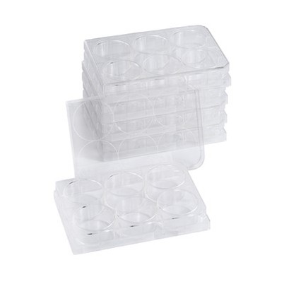 48 Iedobes Šūnu kultūras plāksnes Plāksnes Laboratorijas vienreizējās lietošanas ar TC apstrādāts Caurspīdīgs