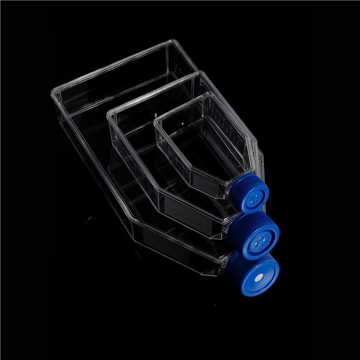 Cell Culture Flasks Laboratory Consumables Plug/Filter Cap