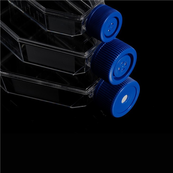 Cell Culture Flasks Laboratory Consumables Plug/Filter Cap